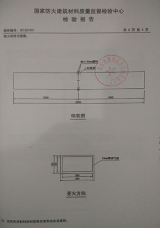 烟道检验报告