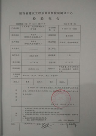 烟道检验报告