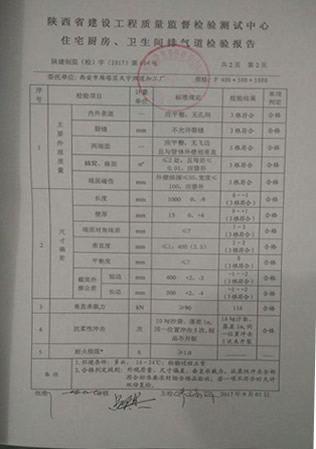 烟道检验报告